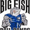 Big Fish Bail Bonds