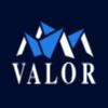 Valor Roof and Solar - Denver roofing contractors