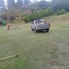 A-Z Garden service and Tree felling.