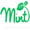 Mint Accountax