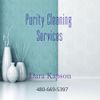purity cleaning services and detailing