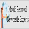 Mould Removal Newcastle Experts