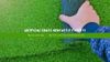 Artificial Grass Newcastle Experts