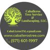 Caballeros Tree Service & Landscaping, LLC.