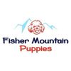 Fisher Mountain Puppies
