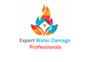 Expert Water Damage Professionals