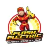 The Flash Electric